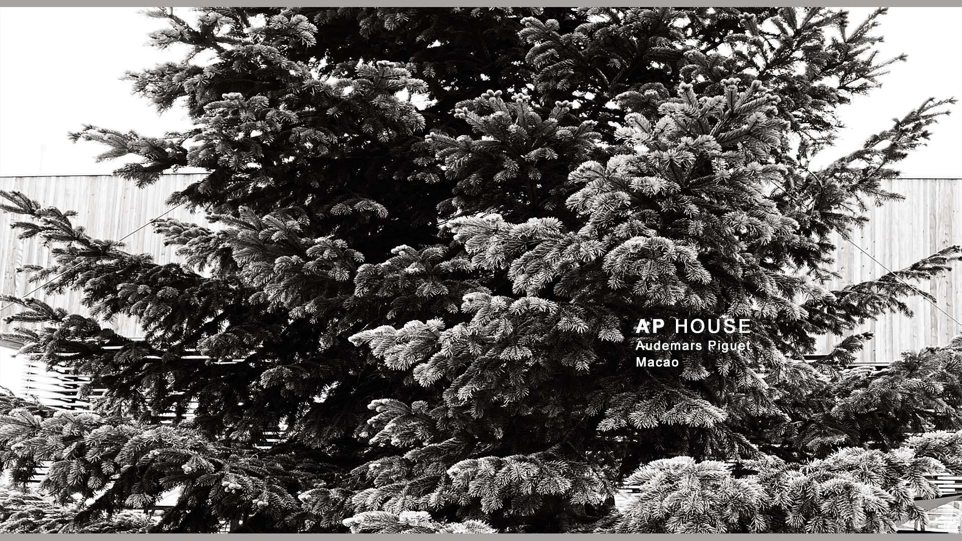 AP House